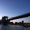 NY