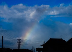 台風の後に