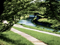 またまた公園