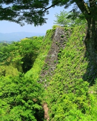 IMG_20170525 oita
