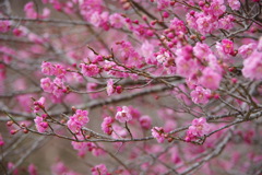 03E2234D-A869-4CED-8490-0AB03A4B704F