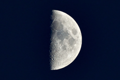 上弦の月 500mm F8