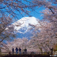 富士は大きいな