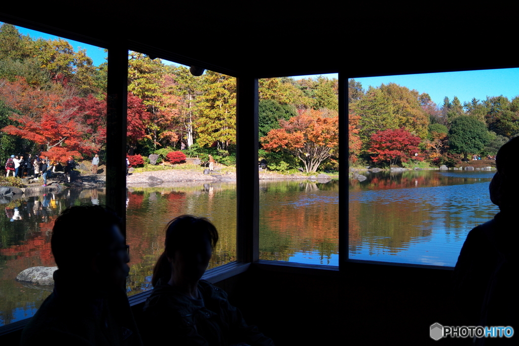 紅葉 水鏡 @昭和記念公園 日本庭園