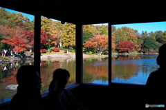 紅葉 水鏡 @昭和記念公園 日本庭園