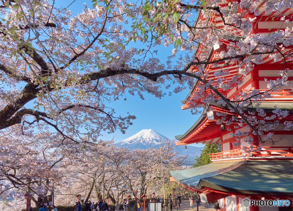 新倉山浅間公園忠霊塔