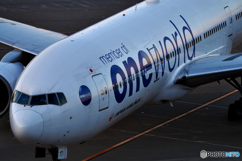 JAL oneworld 朝焼けの羽田空港で