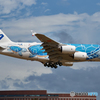 空飛ぶウミガメ 全日空 A380 フライングホヌ @成田空港 さくらの山公園