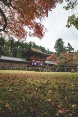 丹生都比売神社