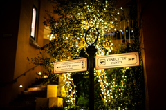 Direction in the Night