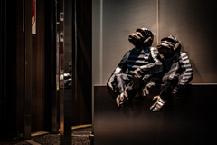 Behind the Ginza