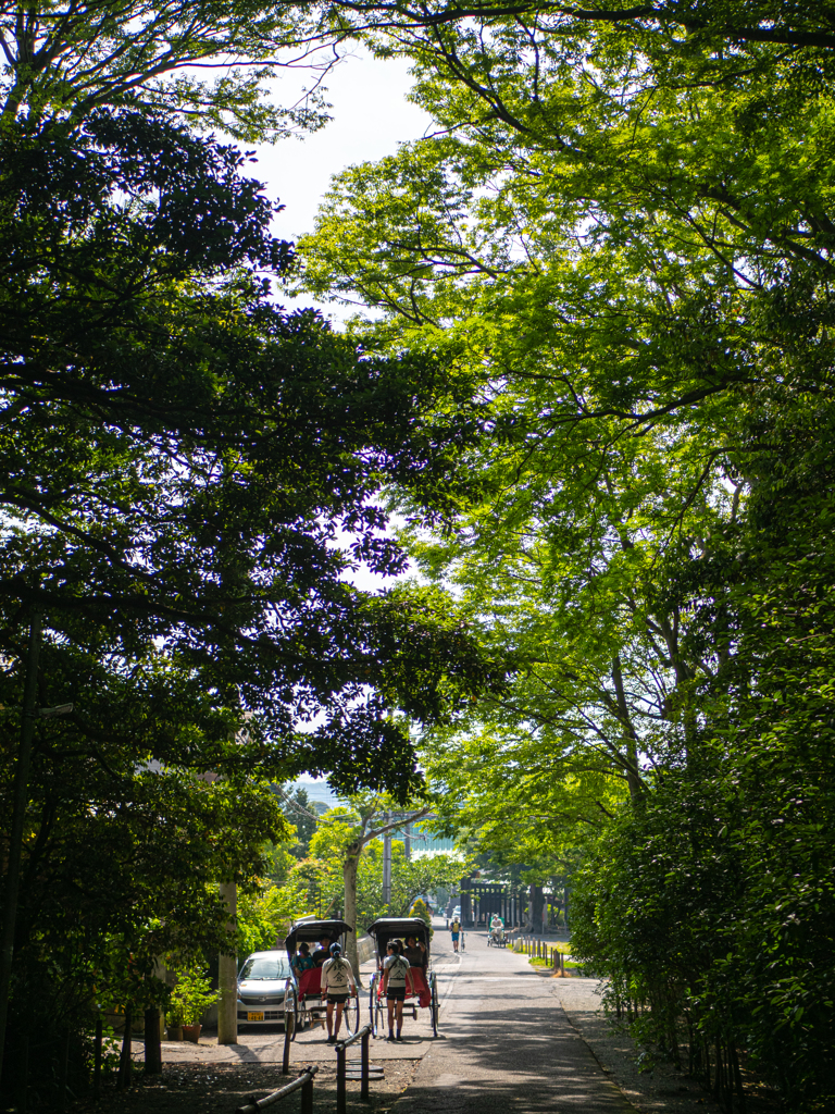 夏の木陰と人力車