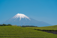 富士山景観４