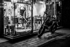 snapshooter's will  4