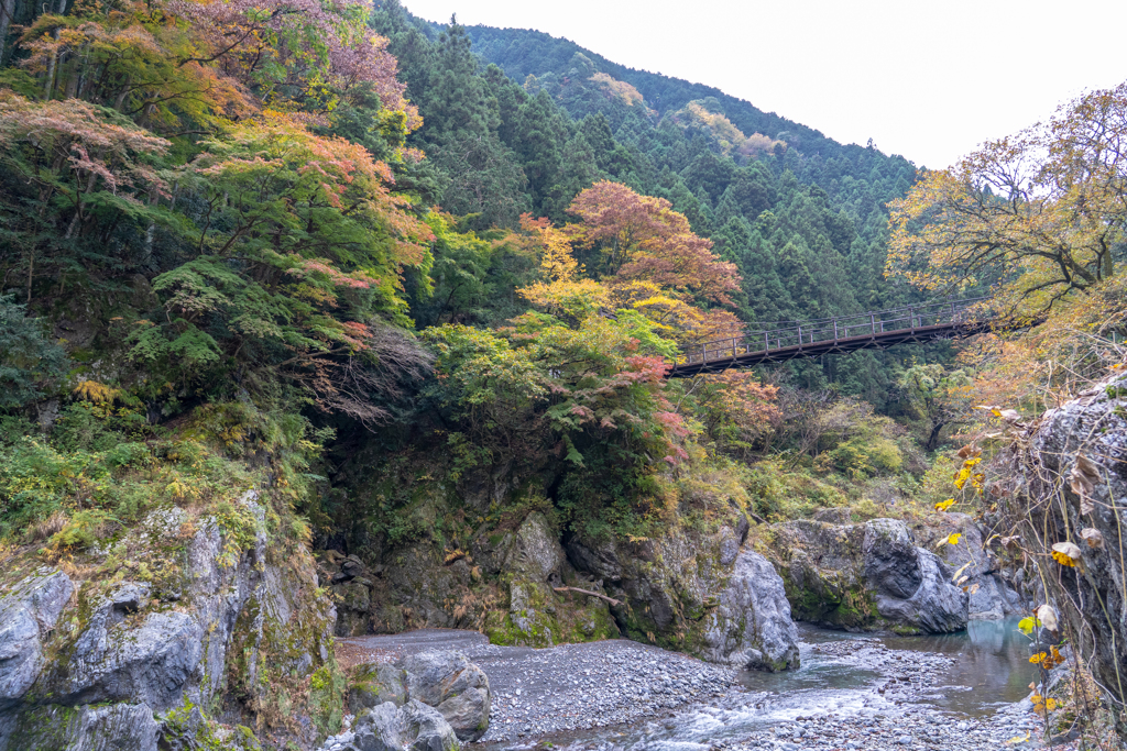 紅葉を追いかけて