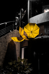 Yellow Umbrella