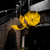 Yellow Umbrella