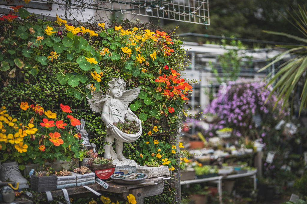 chaotic flower shop