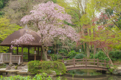 Japanese style