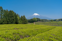 富士山景観６