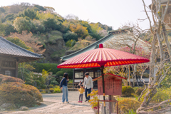 Beneath the Vermilion Shade