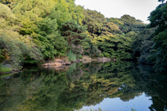 夏も終わり③