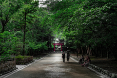 Shrine Walking