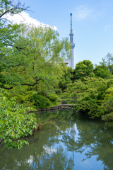 夏とスカイツリー