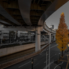 The Autumn Song