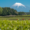 富士山景観５