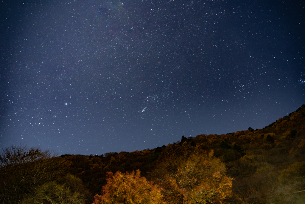 星空の下で