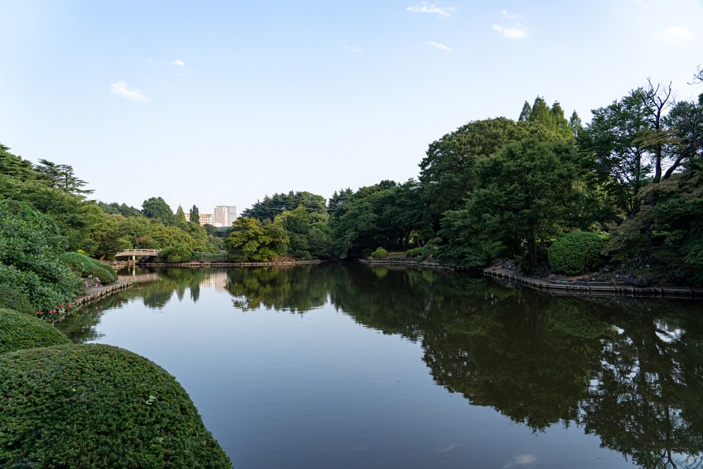 夏も終わり②