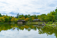 Autumn Reflection 1