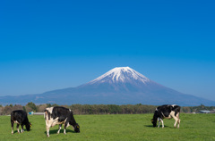 富士山景観