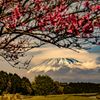 富士山と