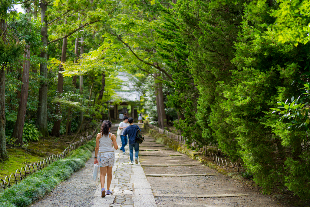 路