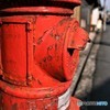 Mister Postman, look and see