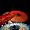 cool beauty japan