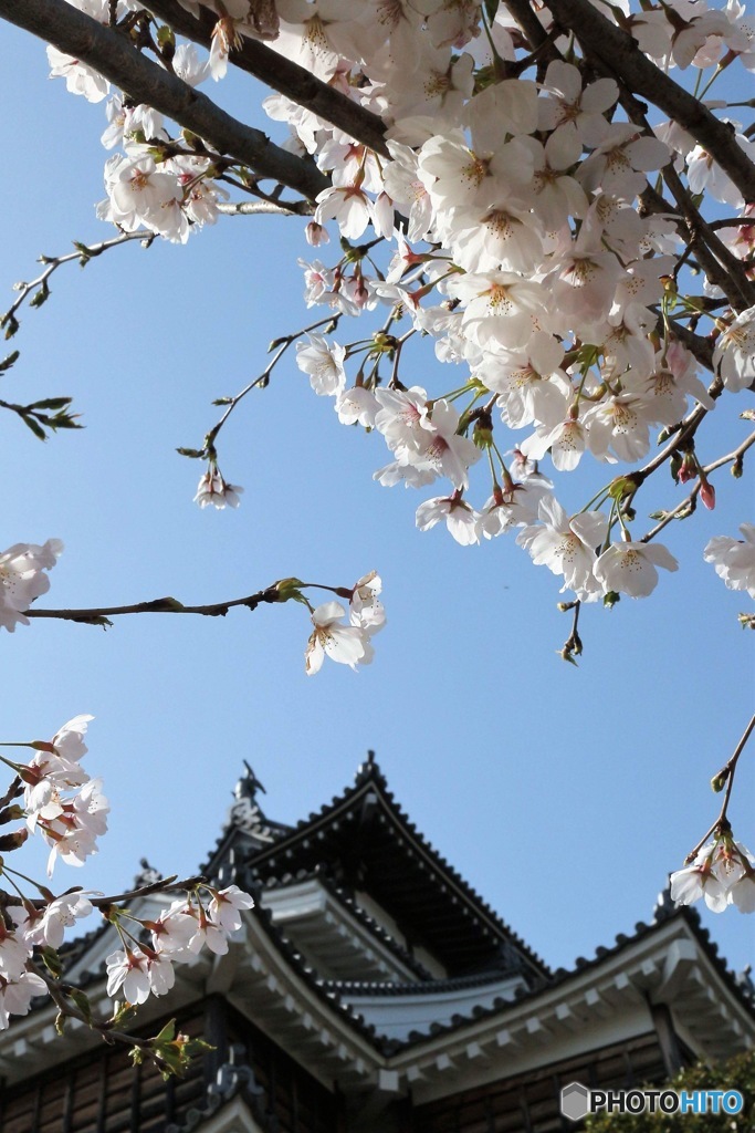 福知山城