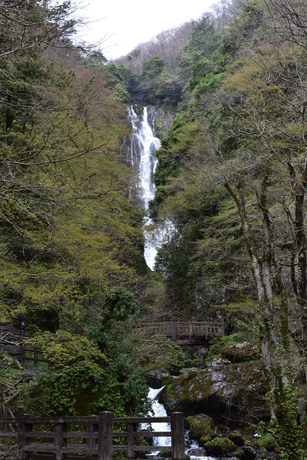 DSC_0008
