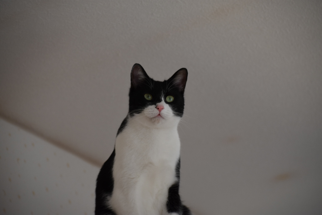DSC_0013