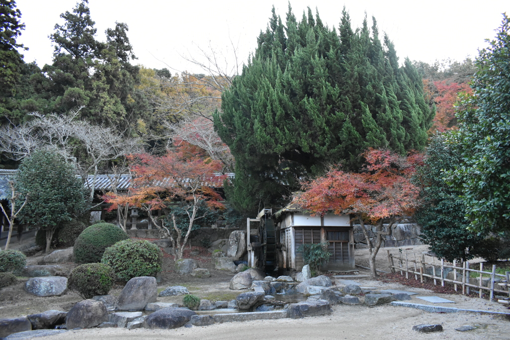 秋の風景