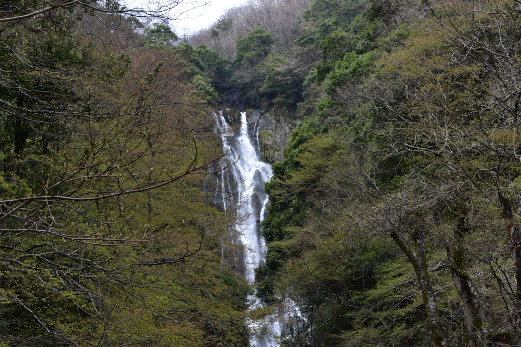 DSC_0009