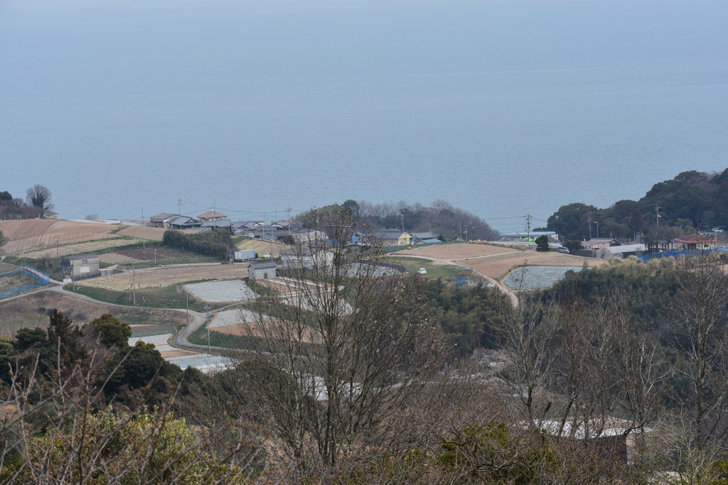 DSC_0039