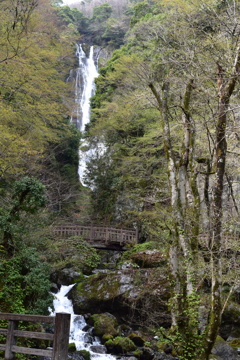 DSC_0011