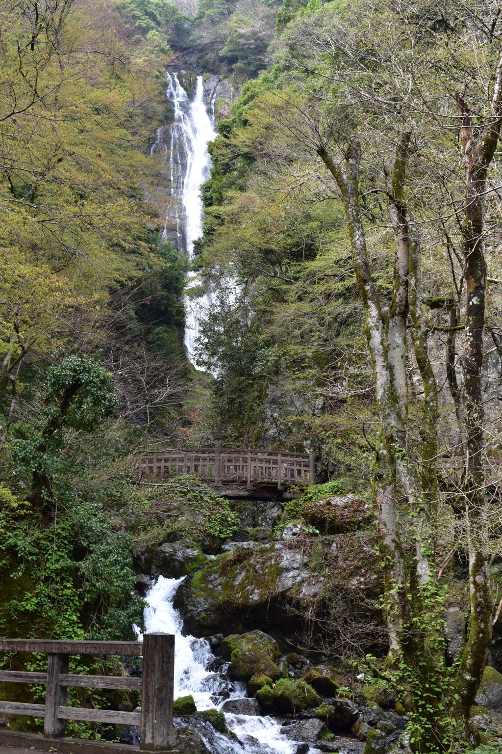 DSC_0012
