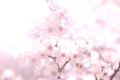 C8C4470B-F394-488C-A2EF-F15E8C3DAB6E