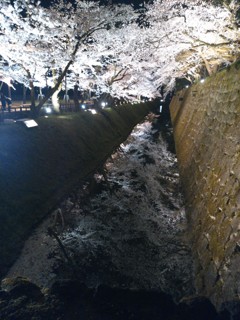 金沢城公園ライトアップ②