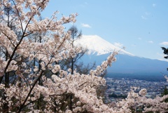 富士山が綺麗に見えました(*^ω^)