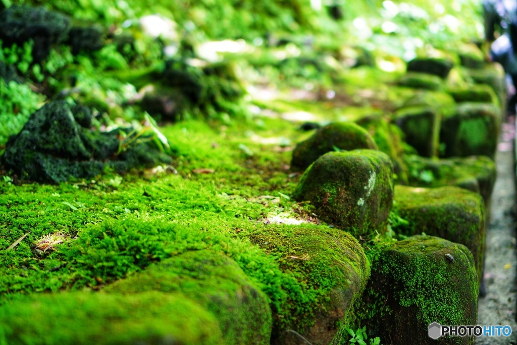 長谷寺(^o^)